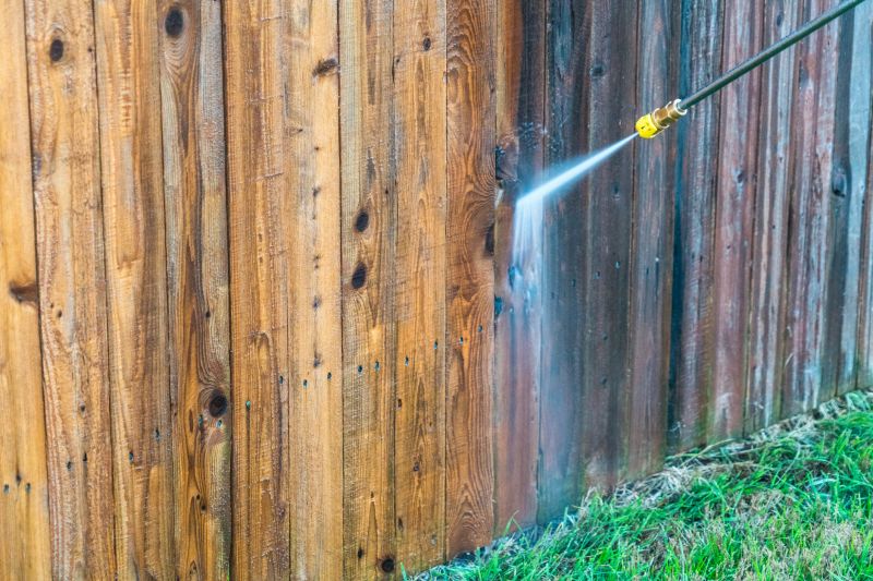 Fence Cleaning and Rejuvenation